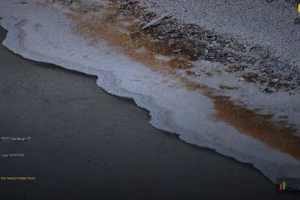 margin free margin margin level explained cover 1