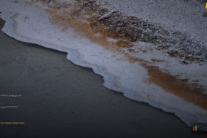 margin free margin margin level explained cover 1