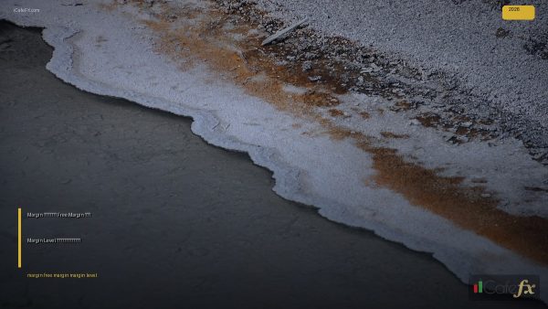 Margin คืออะไร Free Margin และ Level อธิบายละเอียด