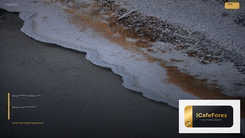 margin free margin margin level explained cover 1