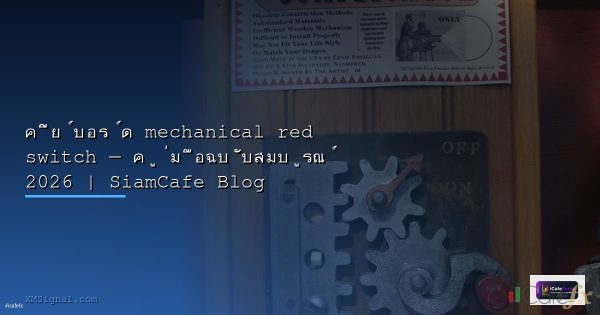 Volume Profile วิเคราะห์ปริมาณการซื้อขายขั้นสูง [2026]