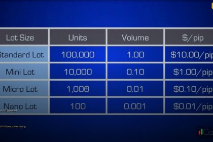 micro lot 001 explained cover 1