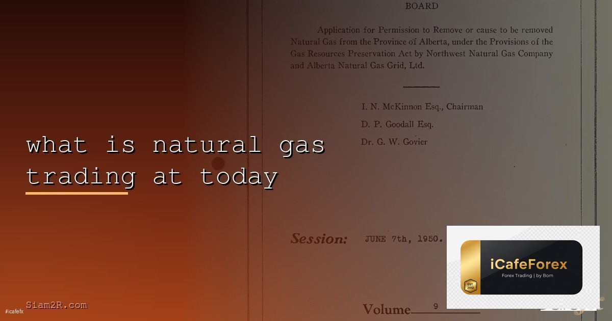Gap Trading วิธีเทรดช่องว่าง — คู่มือฉบับสมบูรณ์ 2026