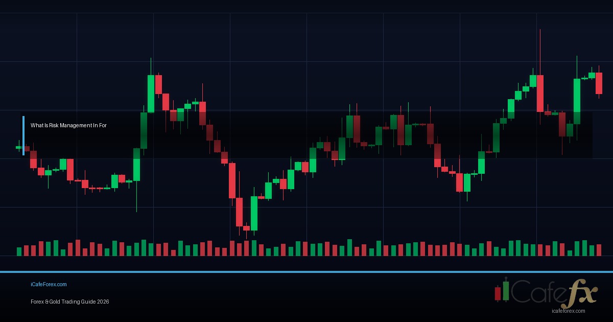 Forex Broker Regulation — คู่มือฉบับสมบูรณ์ 2026