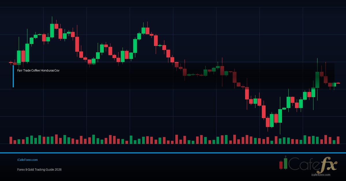 Fair Value Gap (FVG) วิธีหาและเทรด Imbalance Forex