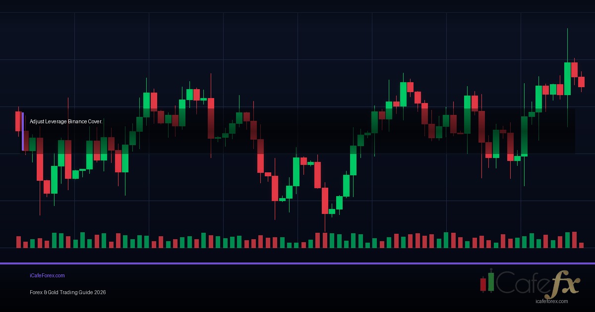 Leverage Margin วิธีใช้อย่างปลอดภัย Forex