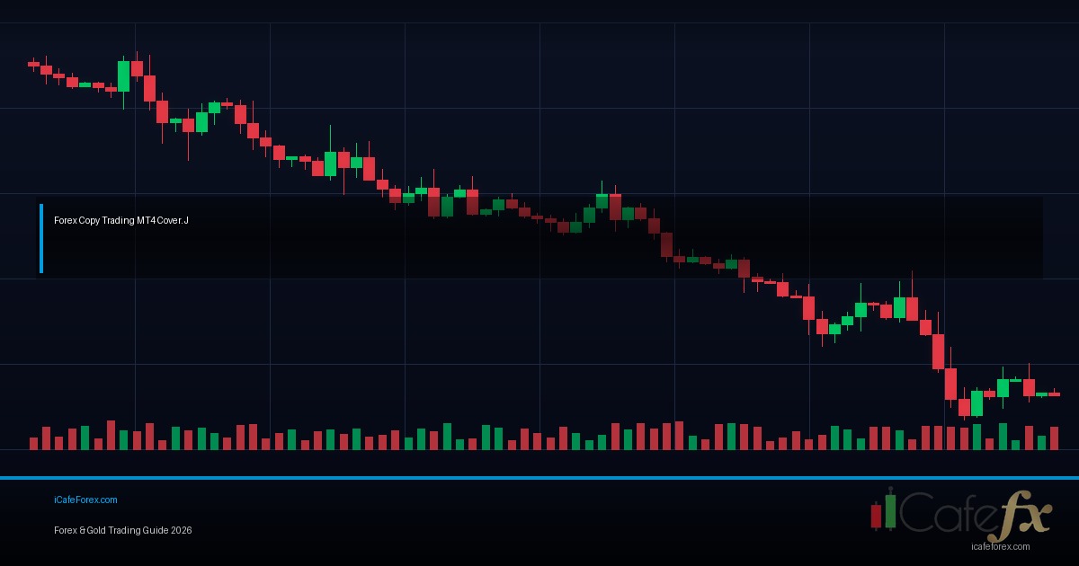Copy Trade Social Trading วิธีเลือก Provider Forex