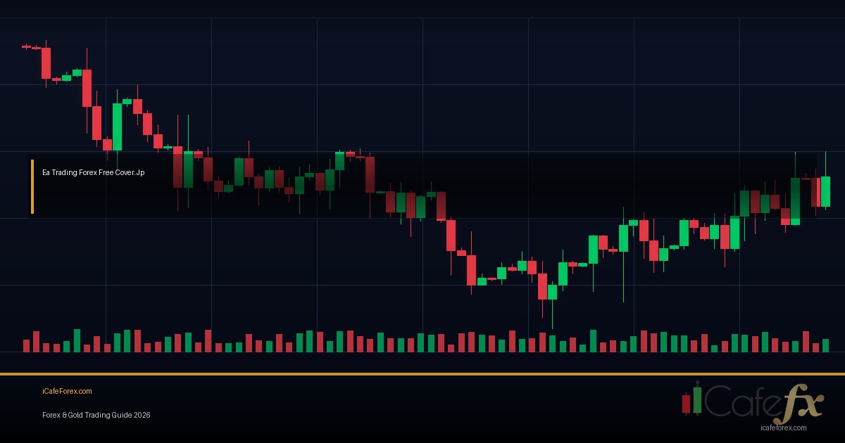 Trading Routine วิธี Build Daily Weekly Routine สู่ Success Forex
