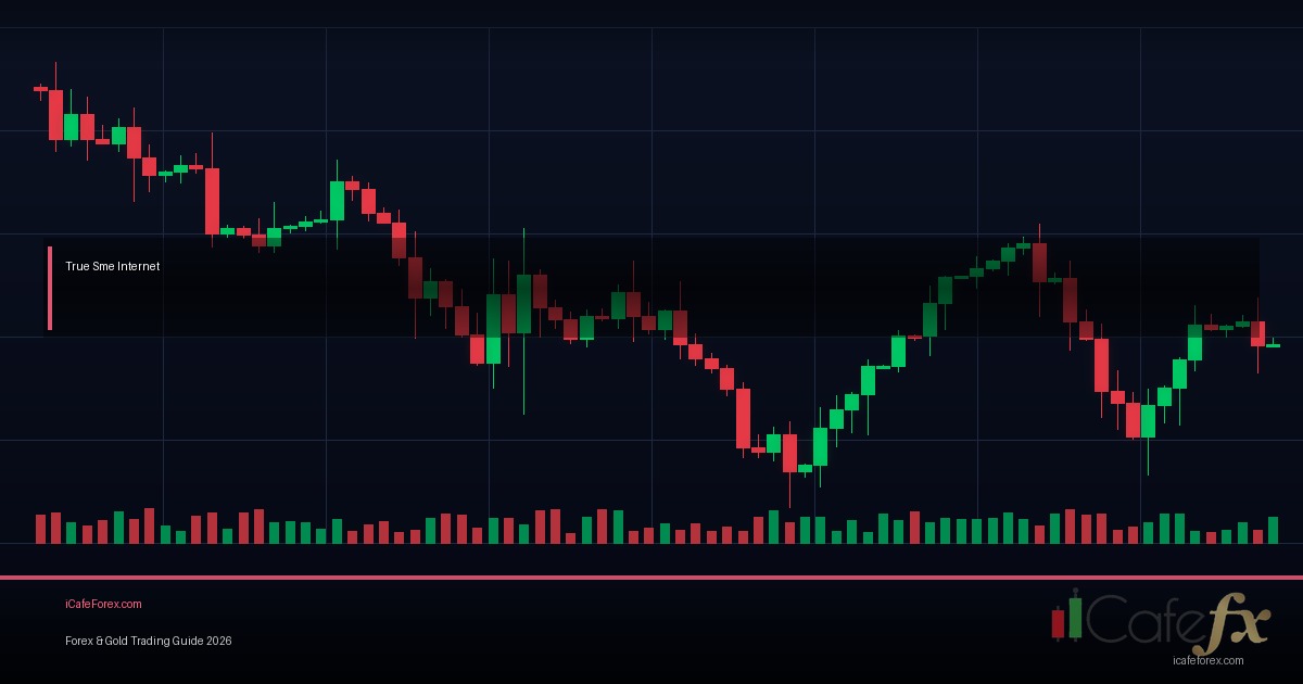 True Day วิธีแยก Trending Ranging Consolidation Day Forex