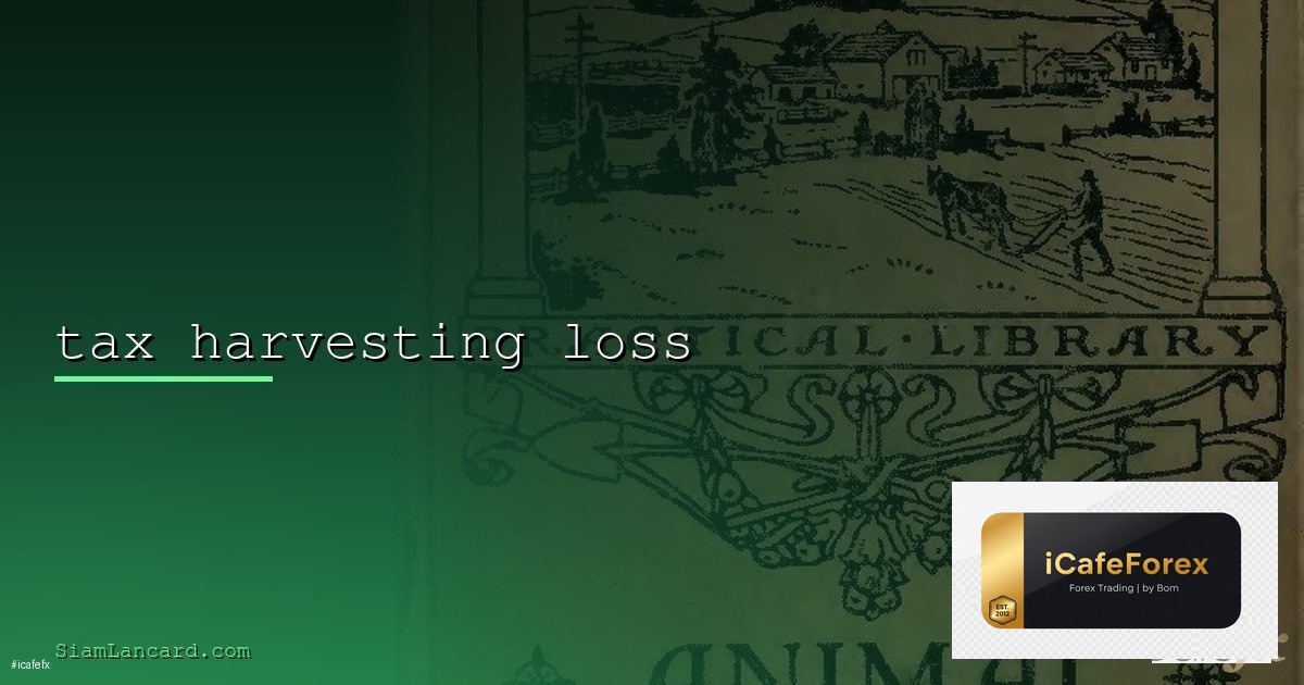 Self-Compassion วิธีใจดีกับตัวเองหลัง Loss เพื่อ Recover Faster Forex