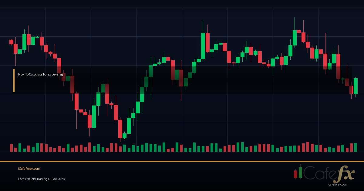 Leverage Management Margin คู่มือฉบับสมบูรณ์ Forex 2026