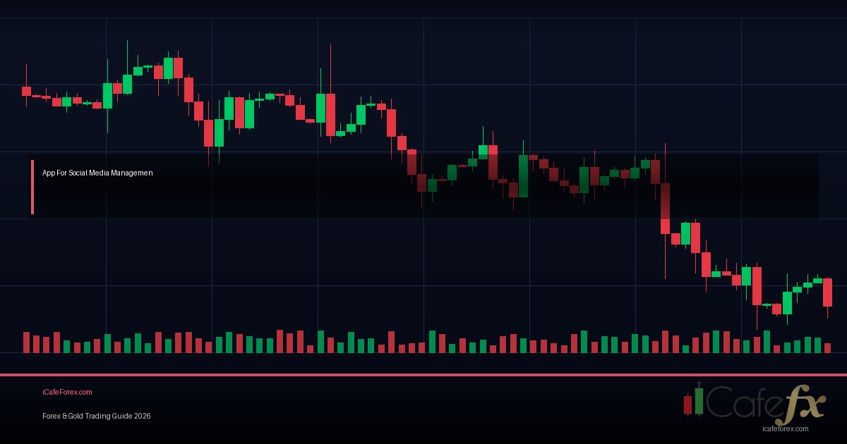 Stress Management Burnout คู่มือฉบับสมบูรณ์ Forex 2026