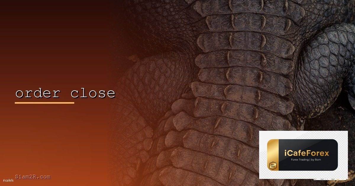 Order Block วิธีหาจุดเข้าเทรดแบบสถาบัน Forex