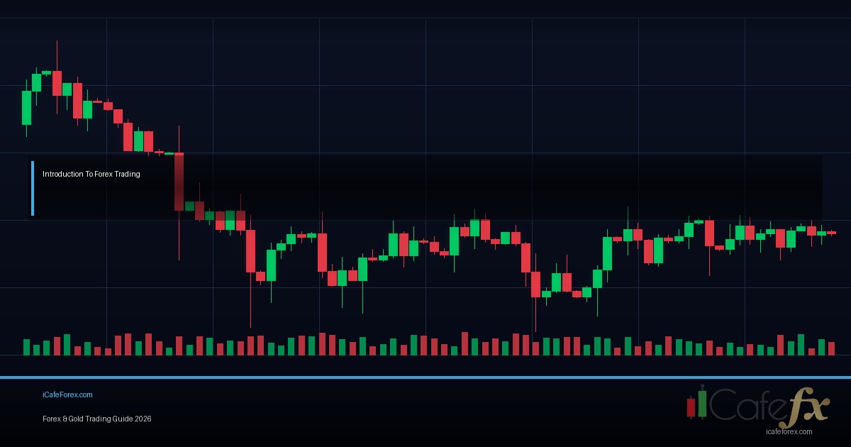 Forex Order Types ประเภทคำสั่งเทรด Market Limit Stop