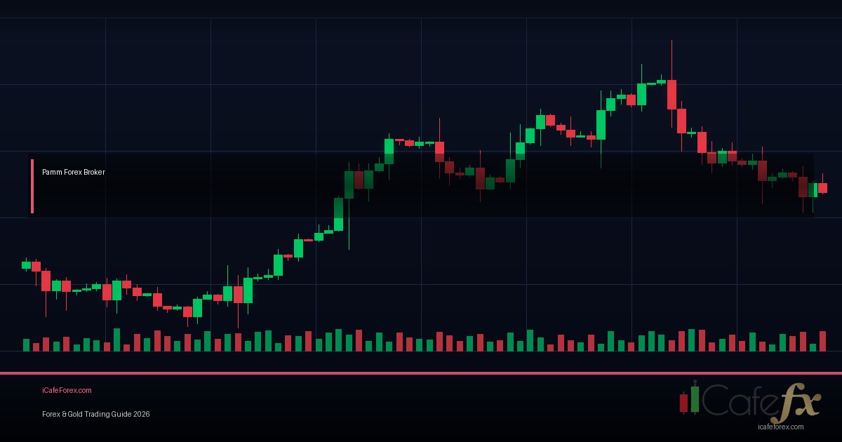 PAMM Account Manager วิธีบริหารกองทุนผู้อื่น Forex