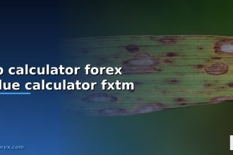 pip calculator forex value calculator fxtm cover 10