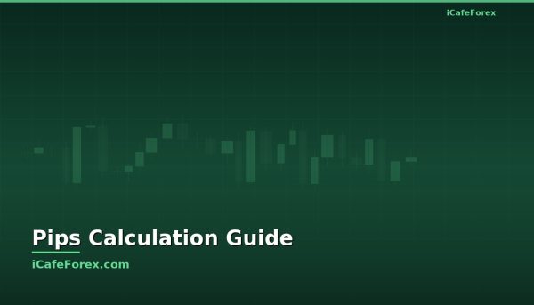 เครื่องคำนวณ PIPS วิธีคำนวณกำไรขาดทุน [2026]