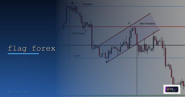 Flag Pennant ทองคำ แพทเทิร์นต่อเนื่องเทรนด์ XAU/USD