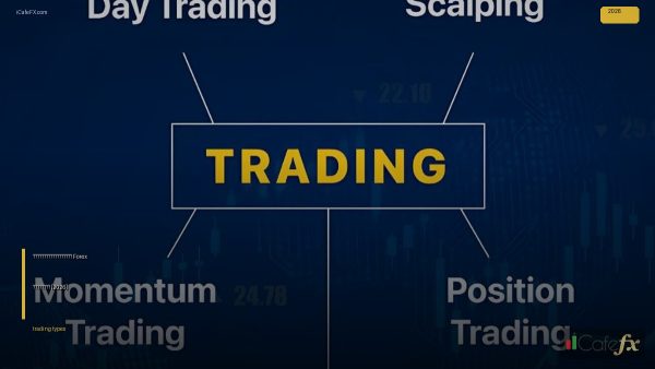 ประเภทของเทรดเดอร์ Forex มีกี่แบบ [2026]