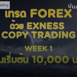 xm tptrades exness review broker cover 1