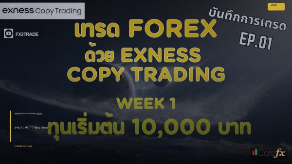 รีวิวโบรกเกอร์ฟอเร็กซ์ 2026 – XM, TPTrades, Exness