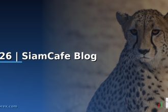 2026 siamcafe blog cover 3