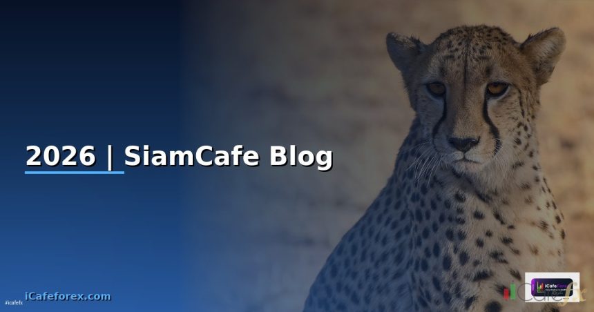 2026 siamcafe blog cover 3