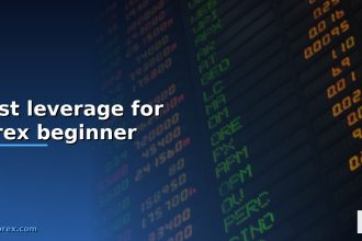 best leverage for forex beginner cover 1