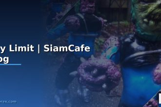 buy limit siamcafe blog cover 1