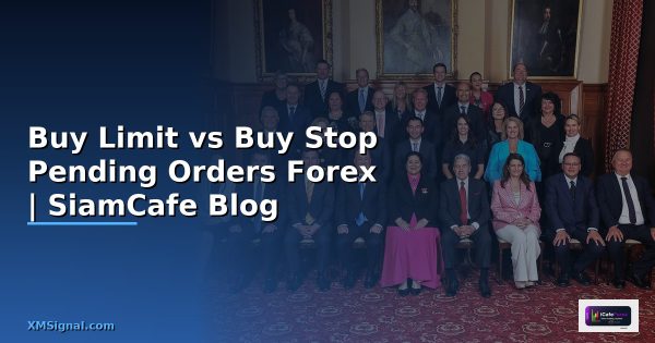 Forex vs Crypto ต่างกันยังไง เทรดอันไหนดีกว่า เปรียบเทียบ 2568