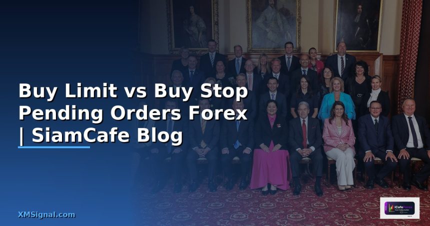 buy limit vs buy stop pending orders forex siamcafe blog cover 1
