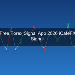 cover forex 170 1775859294 1