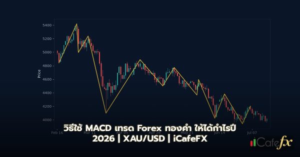 วิธีใช้ MACD เทรด Forex ทองคำ ให้ได้กำไรปี 2026
