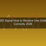 cover gold 178 1775870469 1