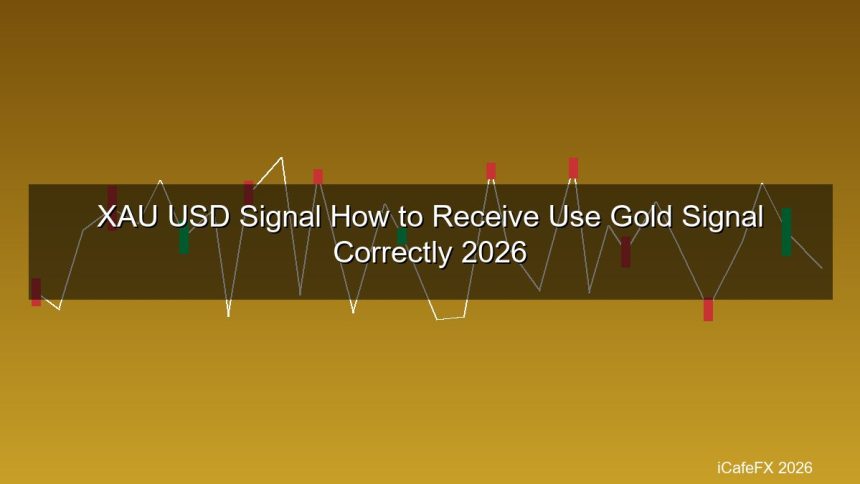 cover gold 178 1775870469 1