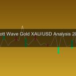 cover gold 1 1775508816 1