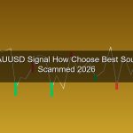 cover gold 206 1776282828 1