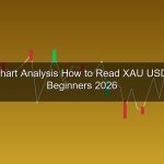 cover gold 214 1776295842 1