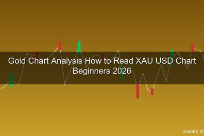 cover gold 214 1776295842 1