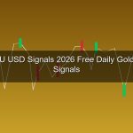 cover gold 232 1776310135 1