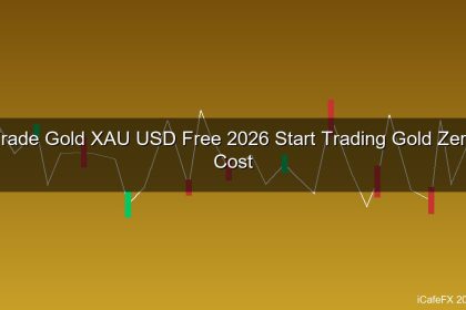 cover gold 234 1776311466 1