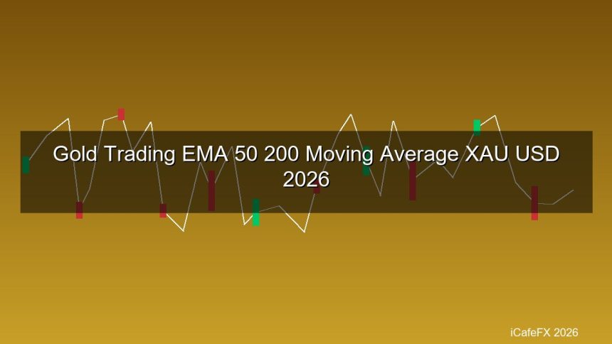 cover gold 255 1776325286 1