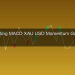 cover gold 263 1776327644 1