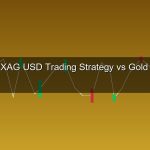 cover gold 67 1775614623 1