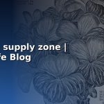 demand supply zone siamcafe blog cover 1