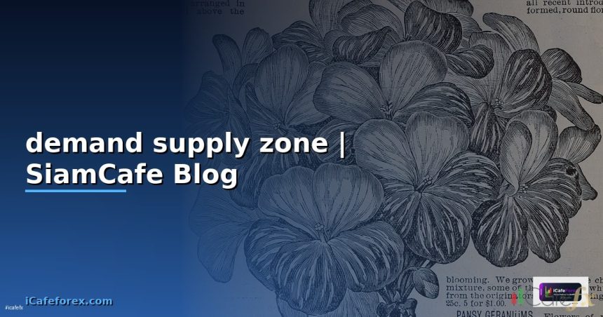 demand supply zone siamcafe blog cover 1