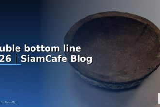 double bottom line 2026 siamcafe blog cover 1