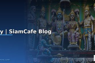 dxy siamcafe blog cover 1