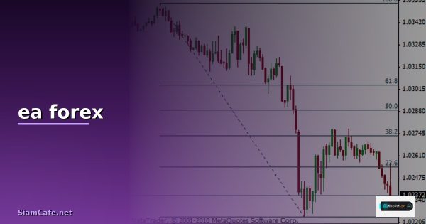 หนังสือสอนเขียน ea forex ด้วย