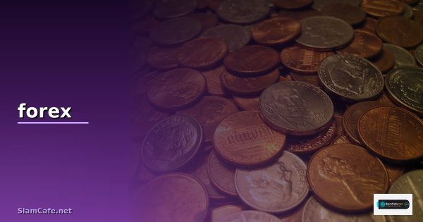 Forex Session เวลาเทรด 2568 ตลาดไหนเปิดเมื่อไหร่ เทรดช่วงไหนดี